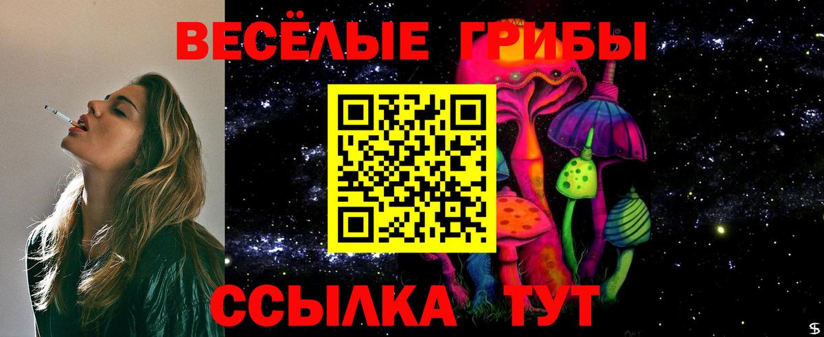 Псилоцибиновые грибы Magic Shrooms Новокузнецк